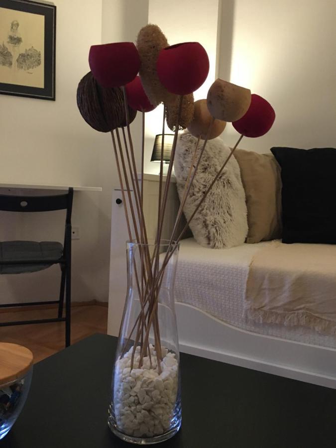 Studio 16 Novi Sad Eksteriør bilde